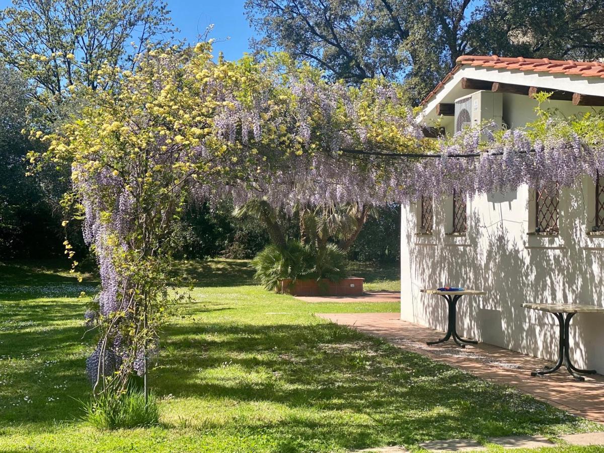 Villette Aldobrandeschi Urban Oasis Vacation Homes ローマ エクステリア 写真
